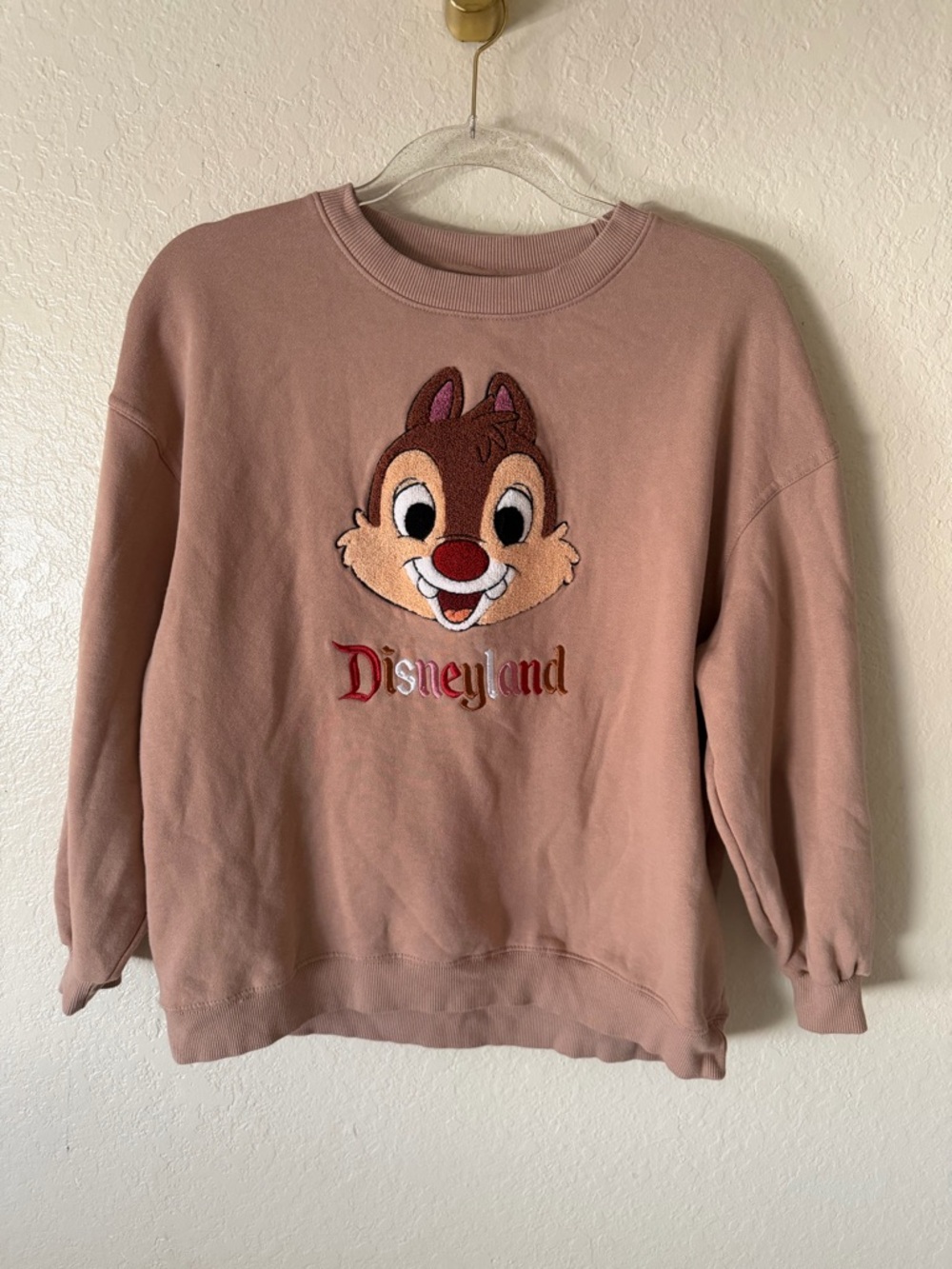Disneyland Chip ‘n Dale Embroidered Oversized Sweatshirt size XS - Picture 2 of 12